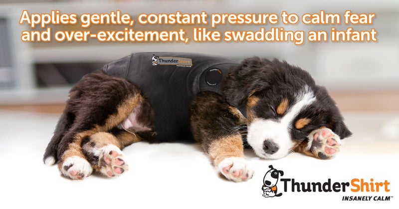 Thundershirt Apparel clothing Thundershirt Dog Anxiety Jacket, Pink, X Large 65-110 lbs US - Image 5